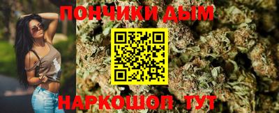 PSILOCYBIN Заволжье