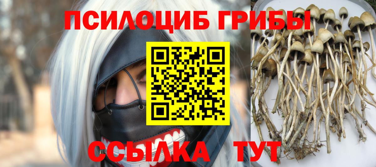 Псилоцибиновые грибы прущие грибы Иваново